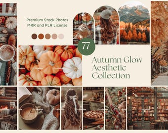 Fotos de otoño Fotos de la temporada de otoño Fotos de archivo estéticas de Halloween Portada de Instagram Fotos de marketing sin rostro Mrr Plr Paquete de otoño