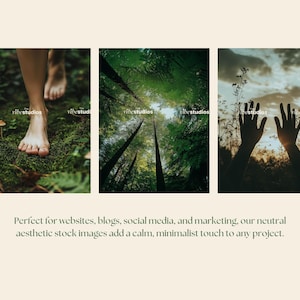 May include: Three images depicting nature scenes. The first image shows a person's bare feet walking on a mossy forest floor. The second image shows a view of tall trees in a forest. The third image shows a silhouette of two hands reaching up towards the sky.