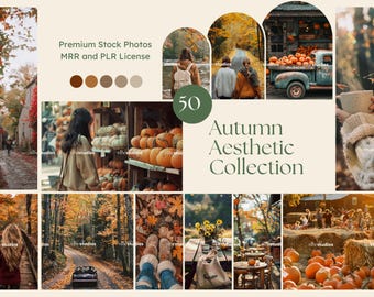 Herbst Ästhetische Stock Fotos Herbst Fotos Gesichtslose Stock Fotos Herbst Saison Bilder Ai Aesthetic Stock Fotos Für Social Media Reels Website