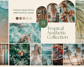 Tropical Stock Photos Aesthetic Beach Lifestyle Photos Coastal Island Photos Instagram Reel Cover Mrr Plr Stock Photos Digital Marketing