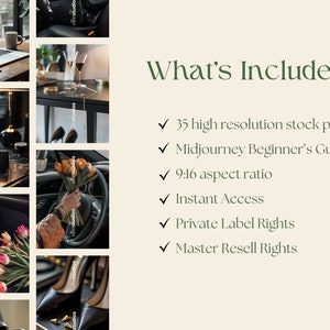 Pu&ograve; includere: Un collage di immagini che mostrano il contenuto di un prodotto digitale. Il testo "What's Included?" &egrave; visualizzato in verde. &Egrave; incluso un elenco di elementi: 35 foto stock ad alta risoluzione, Guida per principianti di Midjourney, rapporto di aspetto 9:16, accesso immediato, diritti di etichetta privata, diritti di rivendita principali.