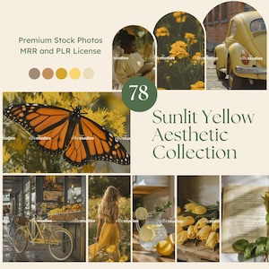 Yellow Aesthetic Stock Photos Yellow Photos Golden Faceless Photos Digital Marketing Photos MRR PLR Done for You Photos Instagram Reel Cover