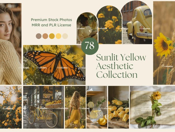 Yellow Aesthetic Stock Photos Yellow Photos Golden Faceless Photos Digital Marketing Photos MRR PLR Done for You Photos Instagram Reel Cover