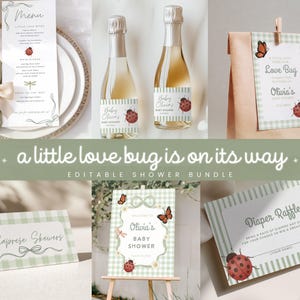 Love Bug Baby Shower-paket Lovebug Baby Shower-meny 2026 Baby Shower-trend Inbjudan Canva Digital mall Paket för festdekoration Paket