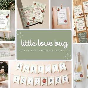Puede incluir: Un conjunto de papelería para baby shower con un patrón de cuadros vichy verde claro, ilustraciones de mariquitas y mariposas, y el texto "little love bug". El set incluye invitaciones, carteles, pancartas, etiquetas y tarjetas variadas.