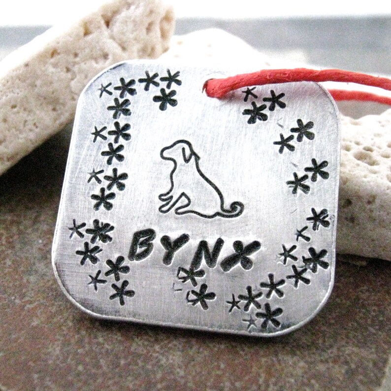 May include: Silver dog tag with a small dog silhouette and the name "BYNX" engraved on it. The tag is surrounded by a border of small stars.