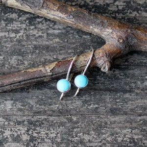 May include: A pair of silver hoop earrings with turquoise stones. The earrings are hanging from a branch.