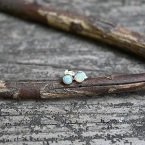 May include: A pair of small, round opal stud earrings with a silver setting. The opals have a milky white base with flashes of blue and green. The earrings are displayed on a wooden branch against a weathered gray background.