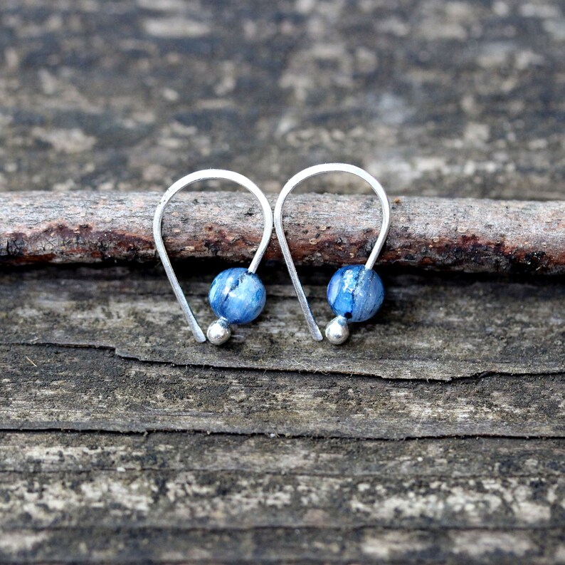 Pure Silver Parrot Kyanite Earrings main image 1