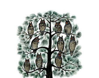 Long-earred Owls in White Pine: 11 x 14 inch giclée print