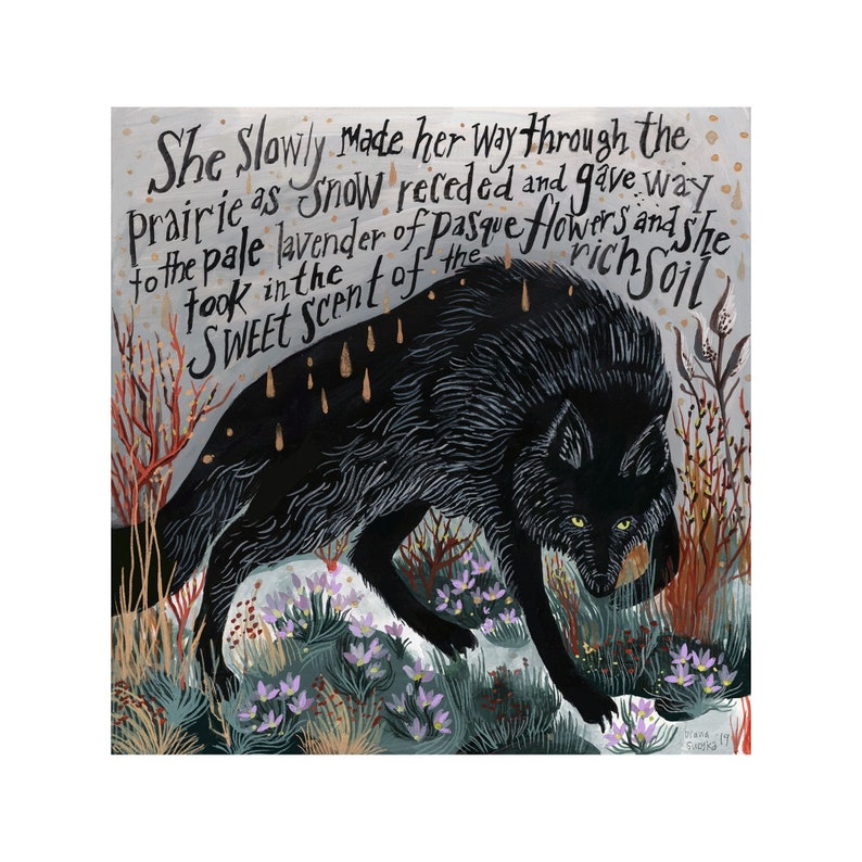 Black Wolf and Pasque Flowers Giclee Print image 1