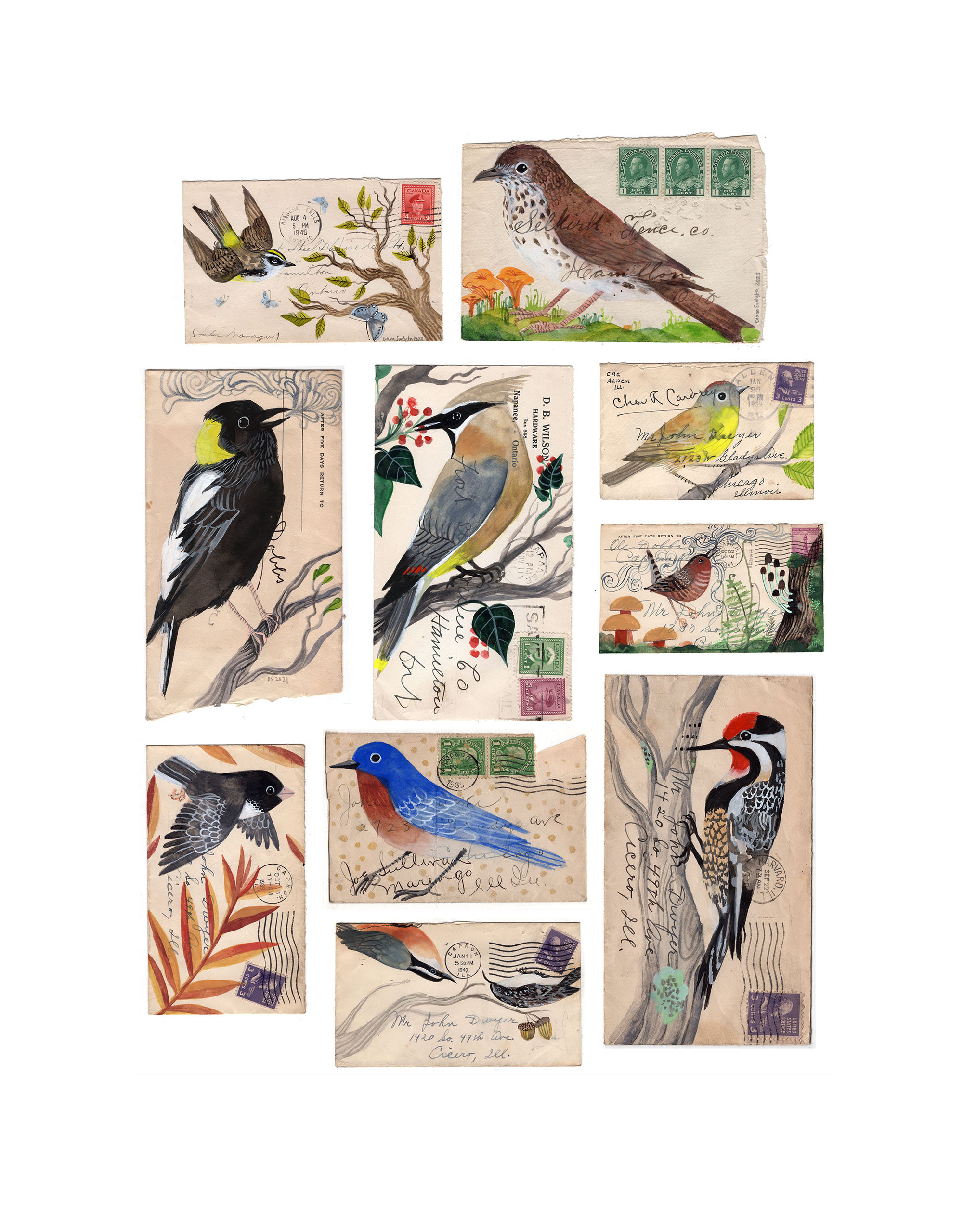 Just Songbirds: Archival Inkjet Print