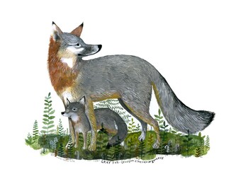 Gray Fox Mama 11 x 14 inch Archival Inkjet Print