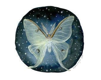 Luna Moth - 9 x 9 inch Glow-in-the-Dark Archival Inkjet (Giclée) Print