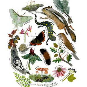 Flora y fauna del Medio Oeste: impresión Giclée de 11 x 14