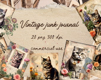 Vintage paper, cat, Scottish fold, flower, junk journal