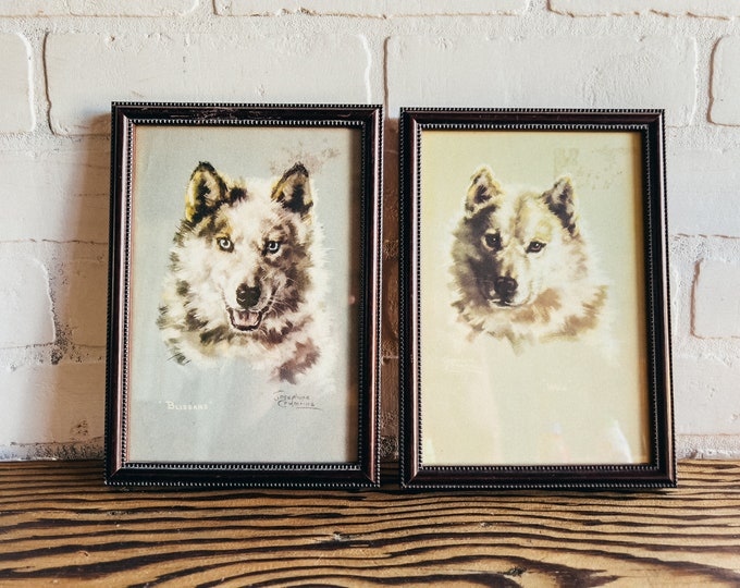 Vintage Framed Dog / Wolf Portraits