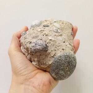 以下が含まれることがあります： さまざまな大きさや色の小石が埋め込まれた灰色のコンクリートの岩のクローズアップ。岩は人の手に握られています。