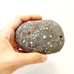 Unique dark grey stone with natural formed dots Pebble art supplies Sustainable crafting Dark grey stone Stone for terrarium Home decor rock