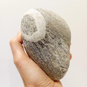 天然の結晶が入った珍しい大きな白い海の岩。小石のアート用品。室内 
