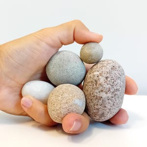 Raro set di cinque pietre rotonde e a forma di uovo Ciottoli naturalmente affilati e accuratamente abbinati Rocce sostenibili per creazioni artistiche o decorazioni per la casa