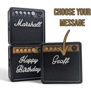 Mini guitar amp plectrum holders in a stylish case, perfect for personalizing with your own message.
