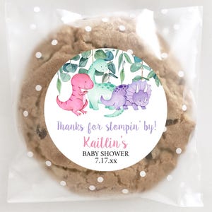 Dinosaur Baby Shower Stickers, Girl Dino Party Favors, Personalized Custom Labels, T-Rex Treat Decor, Thanks for Stomping By, Hatching Soon