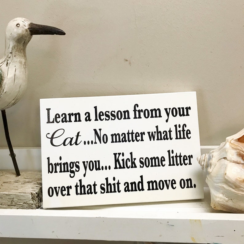 Learn a Lesson From Your CAT No Matter What Life Brings You Etsy