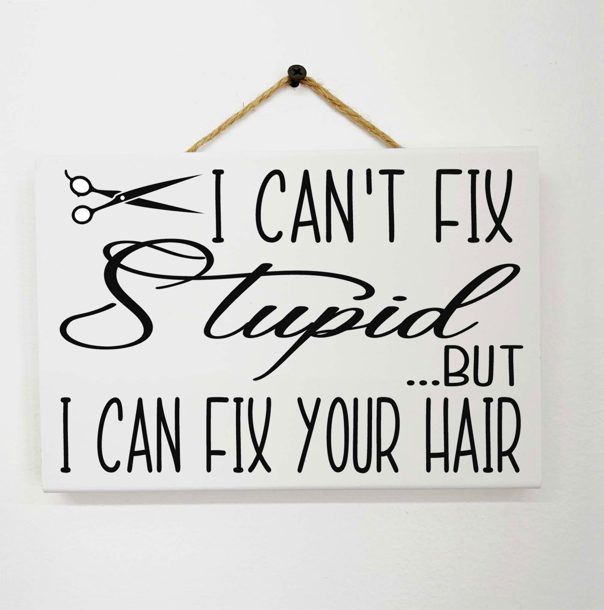 Funny Hair Salon Sign: Beautician Gift, I Can't Fix Stupid - Etsy, image size:2011x2029