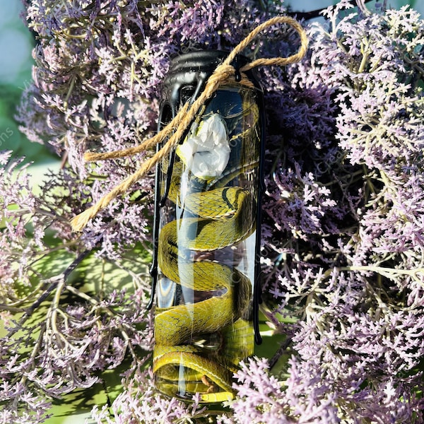 Real Snake Specimen, Olive Green Preserved Snake Specimen Vial, Real Animal Specimen,Reptile Specimen, Curiosity Cabinet Oddity