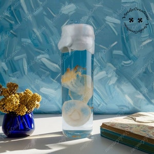 Pale Yellow Jellyfish Specimen, Two Jellyfish In A Glass Tube, Strange Treasure, Wet Specimen, Real Biological Specimen, Educational Display