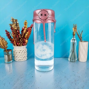 Real Jellyfish Specimen, Jellyfish In Glass Tube, Educational Display, Beautiful Jellyfish Specimen, Curious Specimen