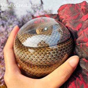 May include: A clear, spherical resin paperweight encasing a coiled snake. The snake has a brown and tan patterned body with a light-colored head. The paperweight is held in a hand, with the text "ViridixCreations" visible in the upper left corner.