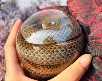 Kugelförmig versiegelte echte Schlangenprobe, Tierprobe, Reptil-Nassprobe, Dekoration im gotischen Stil, erhaltenes Exemplar, Schlangenprobe