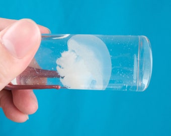 May include: A clear glass test tube with a white, opaque, round object inside. The test tube is held by a hand.