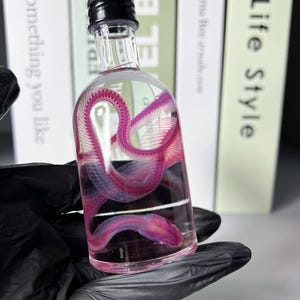 May include: A clear glass bottle with a black screw cap containing a preserved, coiled snake skeleton dyed in a vibrant magenta pink color. The specimen is submerged in a transparent liquid, showcasing the detailed bone structure of the snake.