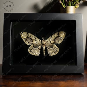 Real Framed Moth Specimen,Exotic Decorative Wall Art,Gothic Decoration,Beautiful Photo Frame Butterfly Specimen,Insect Photo Frame Specimen