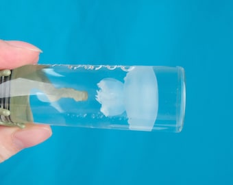 May include: A clear glass tube with a white jellyfish inside. The tube is held in a hand against a blue background.