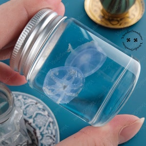 Blue Jellyfish Specimen, Beautiful Jellyfish Specimen, Two Blue Snowflake Jellyfish, Wet Specimen, Gift For Children