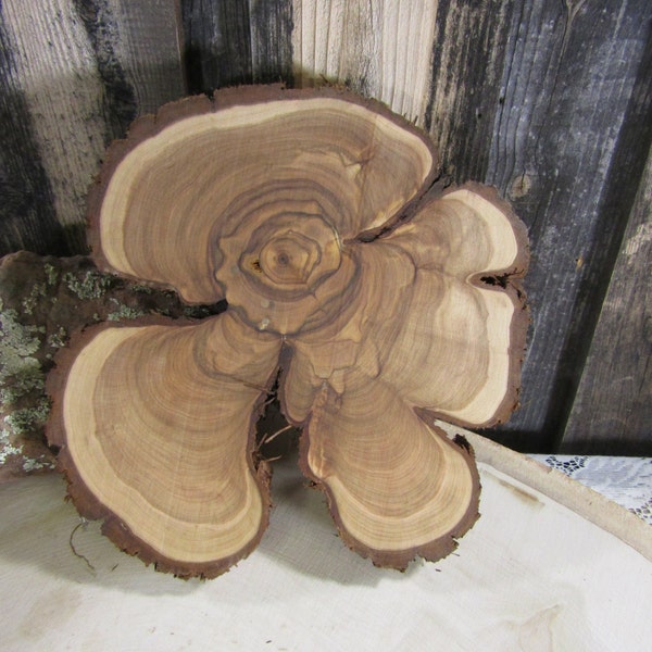 Gorgeous Large Juniper Tree Slice- Wall Hanging, Candle Stand, Centerpiece, Large Wood Slice (WS6025)