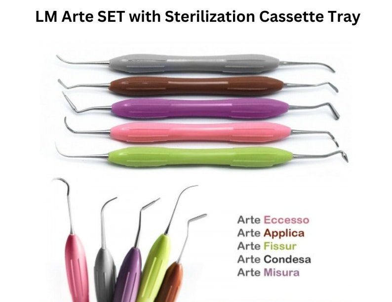 LM Arte SET of 5PCS Silicon Handle With Sterilization Cassette Tray - Etsy