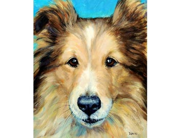 Shetland Sheep Dog, Herding Dog, Dogs, Dog Art Print of Original Painting by Dottie Dracos, Sheltie portrait. Dog Portraits 8x10"