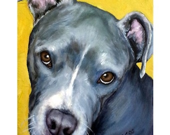 Dogs, Pit Bull Dog, Dog Art, Bully Dogs, Pit Bull,  Art Print, Blue Pit Bull  brown eyes, from Original Painting by Dottie Dracos 8x10