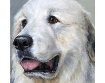 Dogs, Dog Art, Great Pyrenees, Dog Art Print of Original Painting by Dottie Dracos, Pyrenees on Light Grey, 8x10"