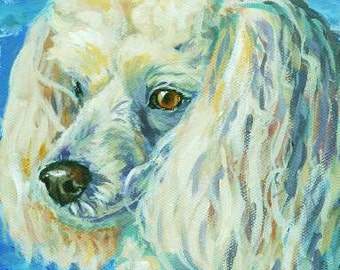 Poodle, Dogs, Dog Art Print, from Original Painting by Dottie Dracos, White Poodle, Poodle Art, Poodle Portrait, 8x10" Print