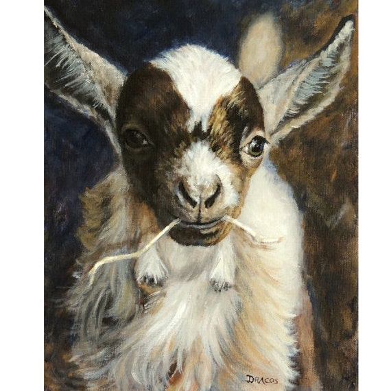 Nigerian Nain Chevre Ferme Art Print Dottie Dracos Bebe Etsy Nigerian Nain Chevre Ferme Art Print Dottie Dracos Bebe Etsy