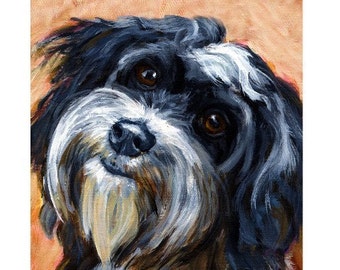 Havanese, Dogs, Dog Art Print, from Painting by Dottie Dracos, Black and White Havanese Portrait, 11x14" & Up