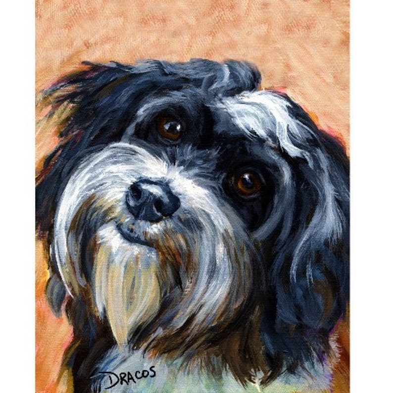 Havanese, Dogs, Dog Art Print, from Painting by Dottie Dracos, Black and White Havanese Portrait, 8x10 Print image 1