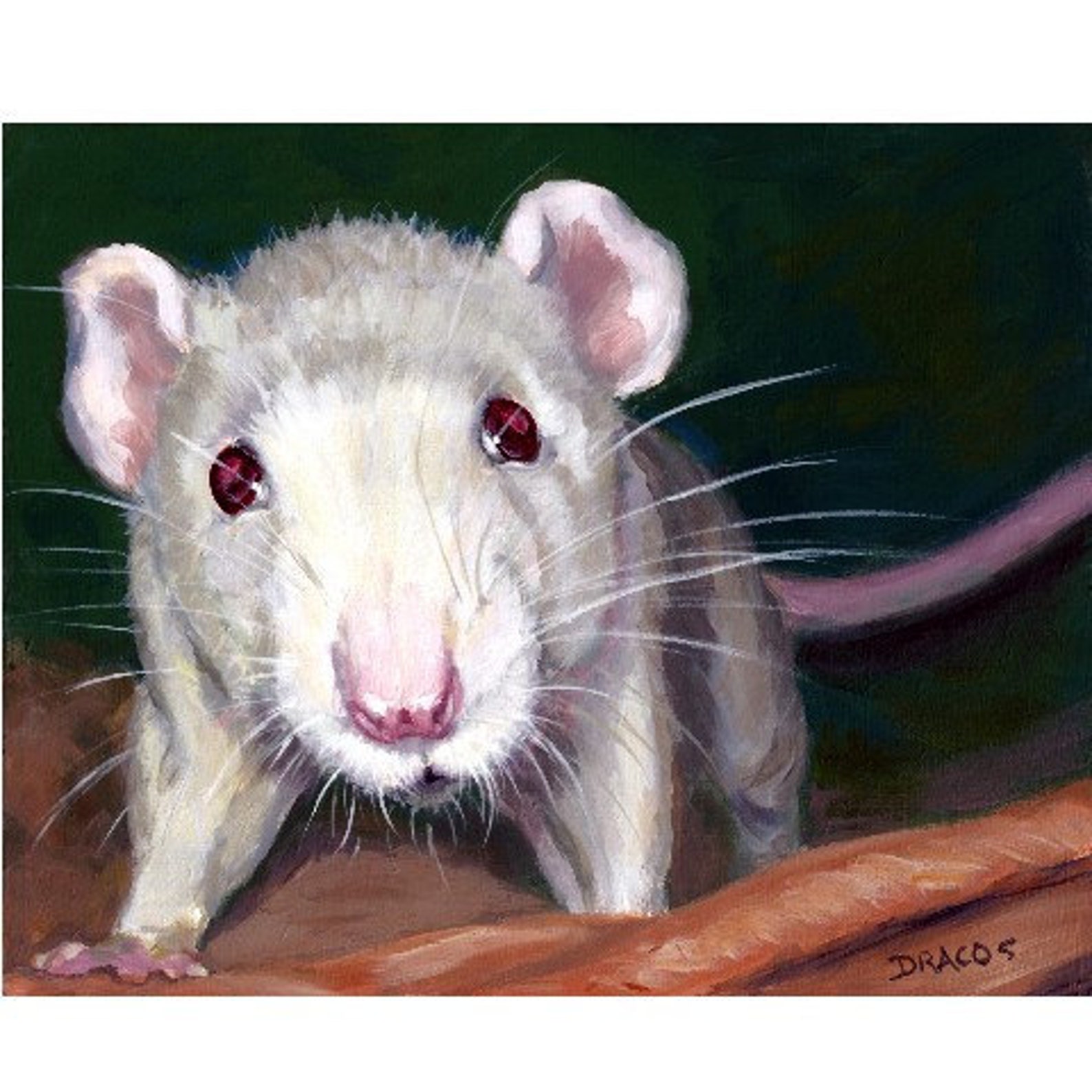 Rat Animal Art Print of Original Painting by Dottie Dracos Etsy
