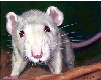 Rat, Pet Rat, White Rat, Rodents, Animal Art Print of Original Painting by Dottie Dracos, Little White Rat, 8x10"